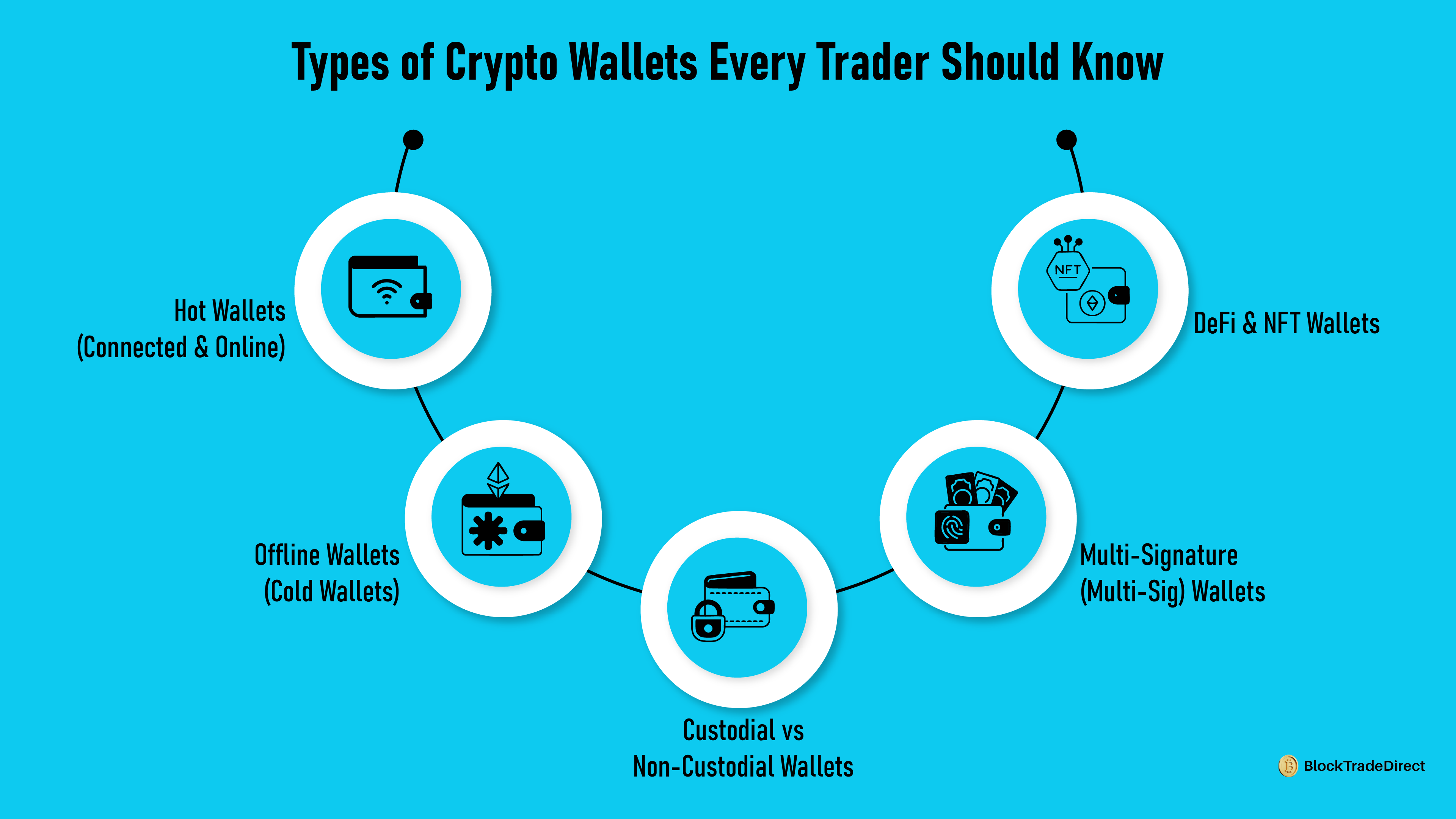 Infographic Image Showing Various Types of Crypto Wallets That Every Trader Must Know